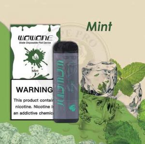 Blade 500 Puff Disposable